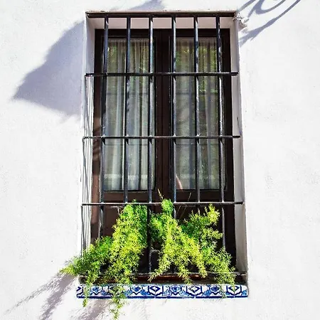 Casa Del Siglo Xvii * Σεβίλλη